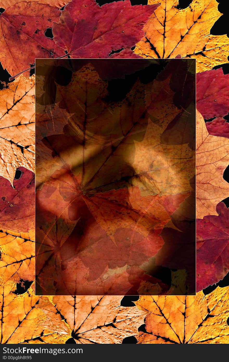 Autumn Leaves Design