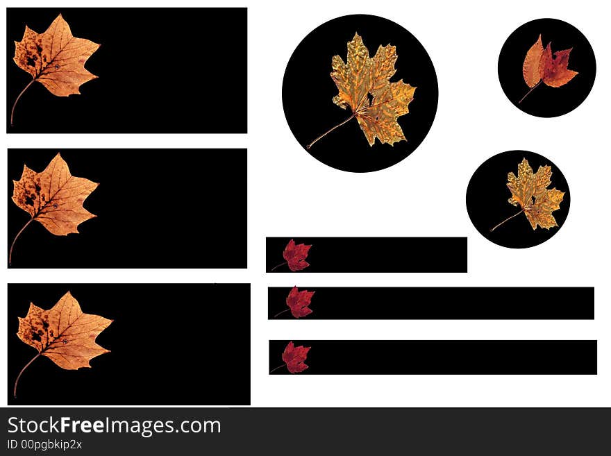 Autumn Leaves buttons