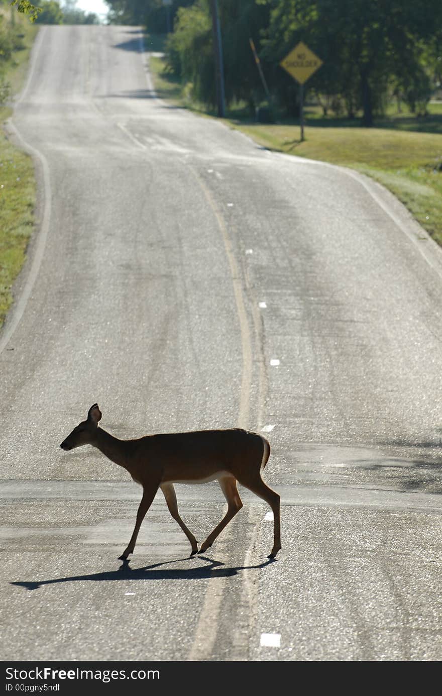 A silhouette of a female white-tailed deer crossing a hilly street. A silhouette of a female white-tailed deer crossing a hilly street.