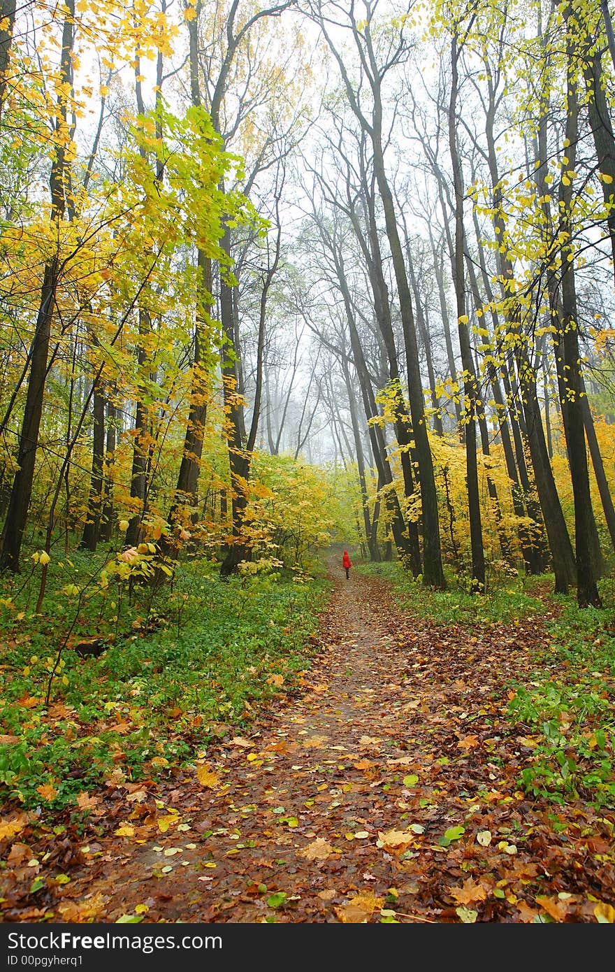 Autumn and lonely girl in red raincoat. Autumn and lonely girl in red raincoat