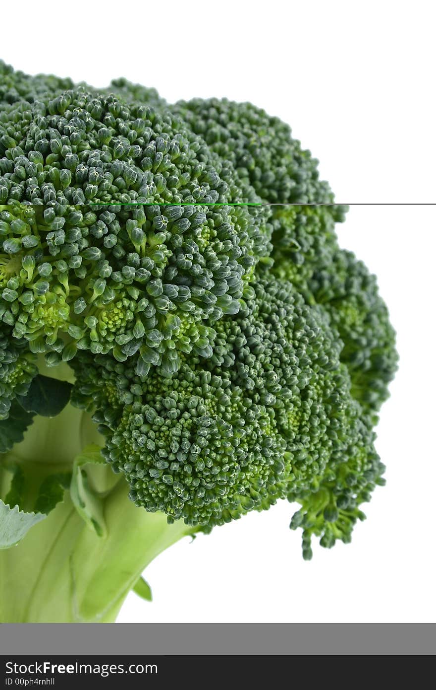 Fresh green vegetables isolated on white macro close up with copy space. Fresh green vegetables isolated on white macro close up with copy space