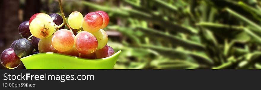 A bunch pf grapes fruit with green background