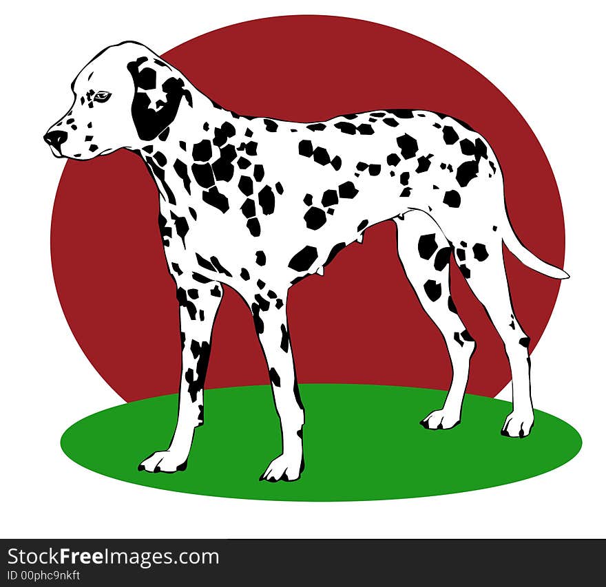 Dalmatian dog illustration