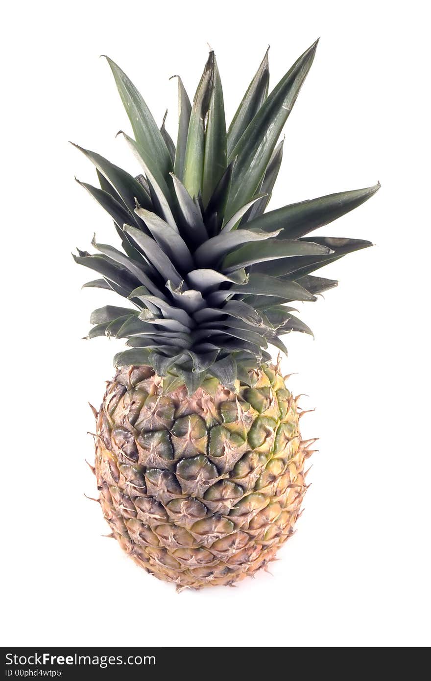 Pineapple