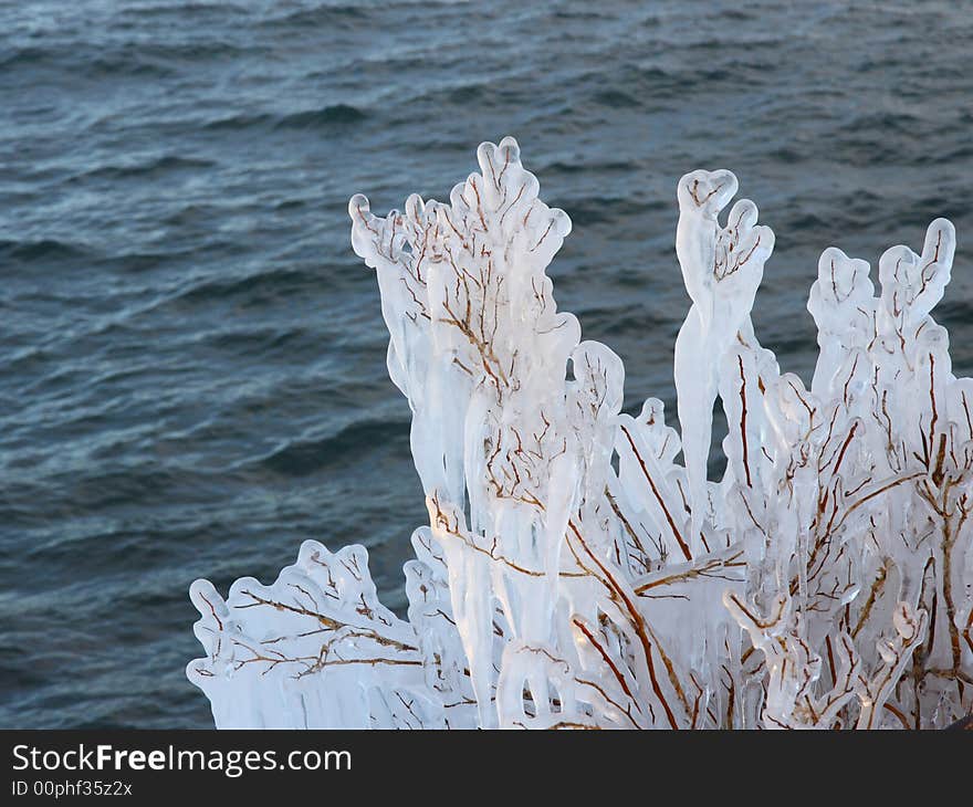 Icy bush near Lake Superior