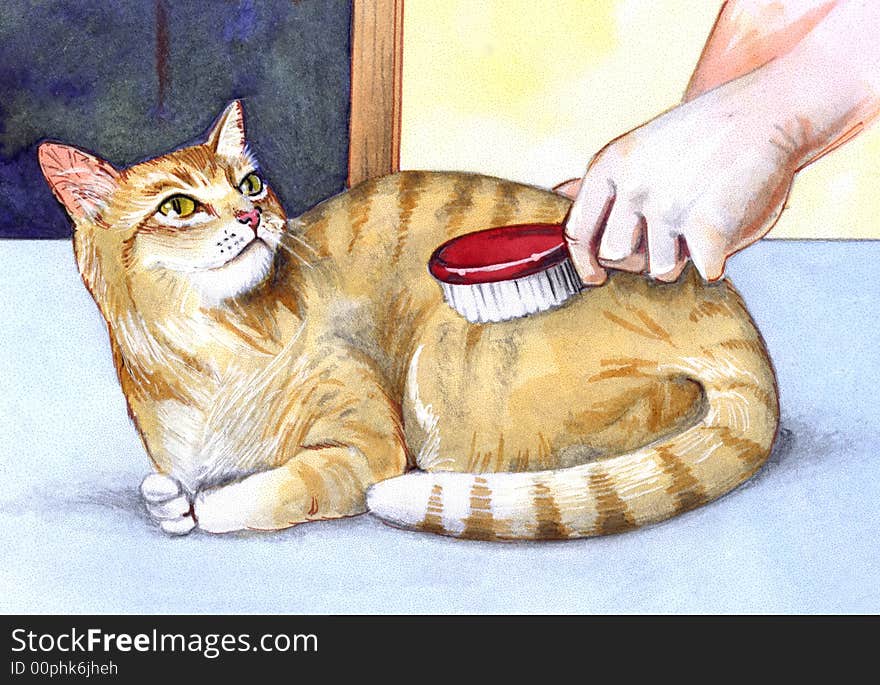 Hands brushing a sweet cat. Hands brushing a sweet cat