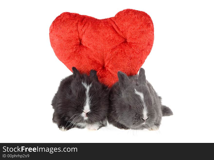 Two cute baby rabbits with red hearts, isolated