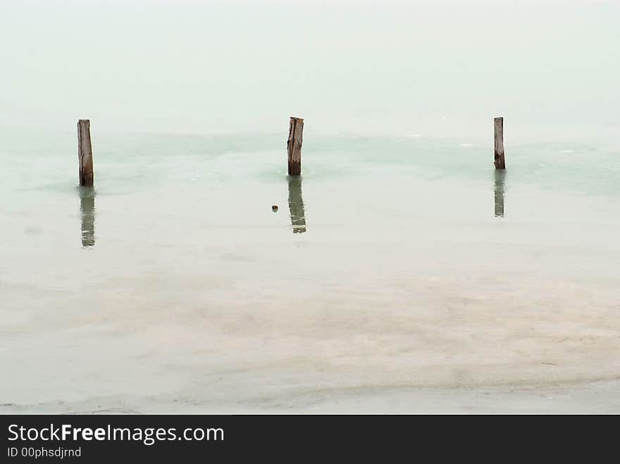 Frozen wooden post in a lake with tree reflection