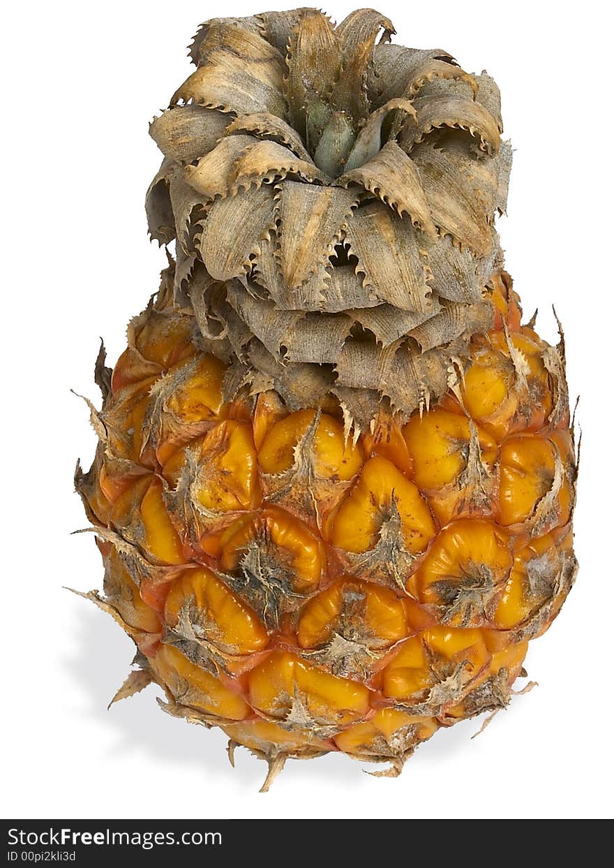 Small pineapple