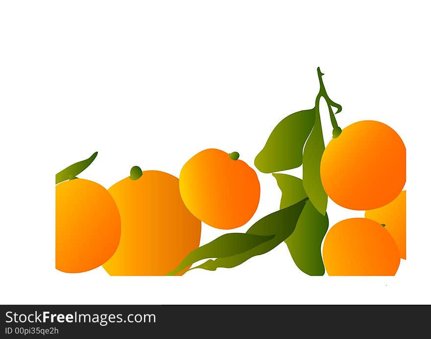 fresh oranges with leafs-isolated on white