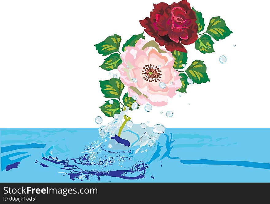 Roses And Drops Illustration