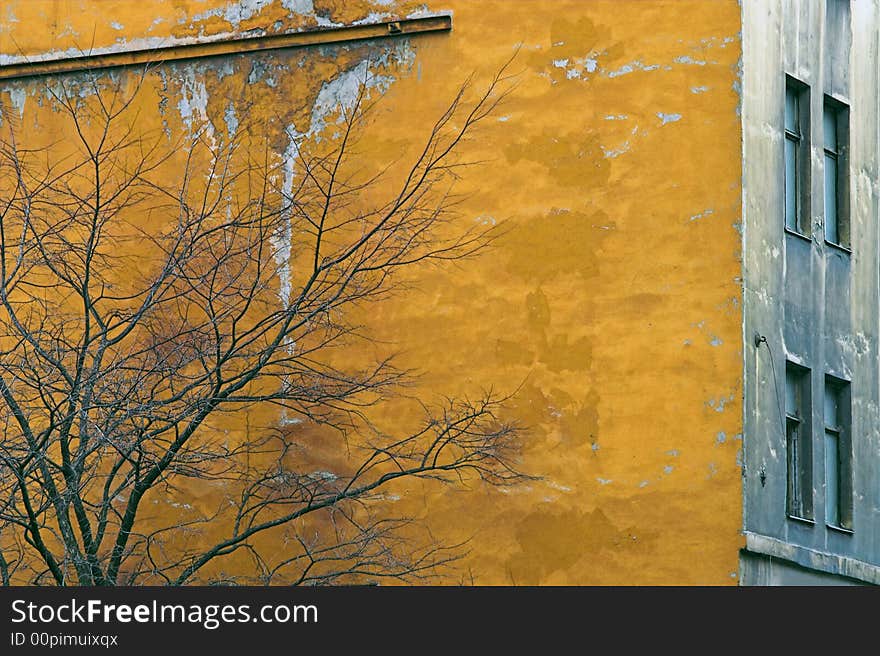 Corroded Wall with windows