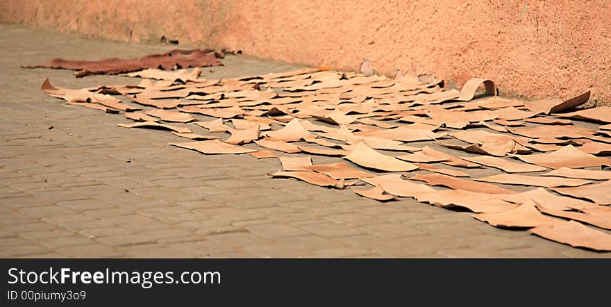 Pieces of leather drying