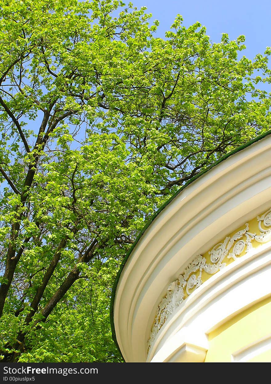 Roof of a white building under branches of trees. Roof of a white building under branches of trees