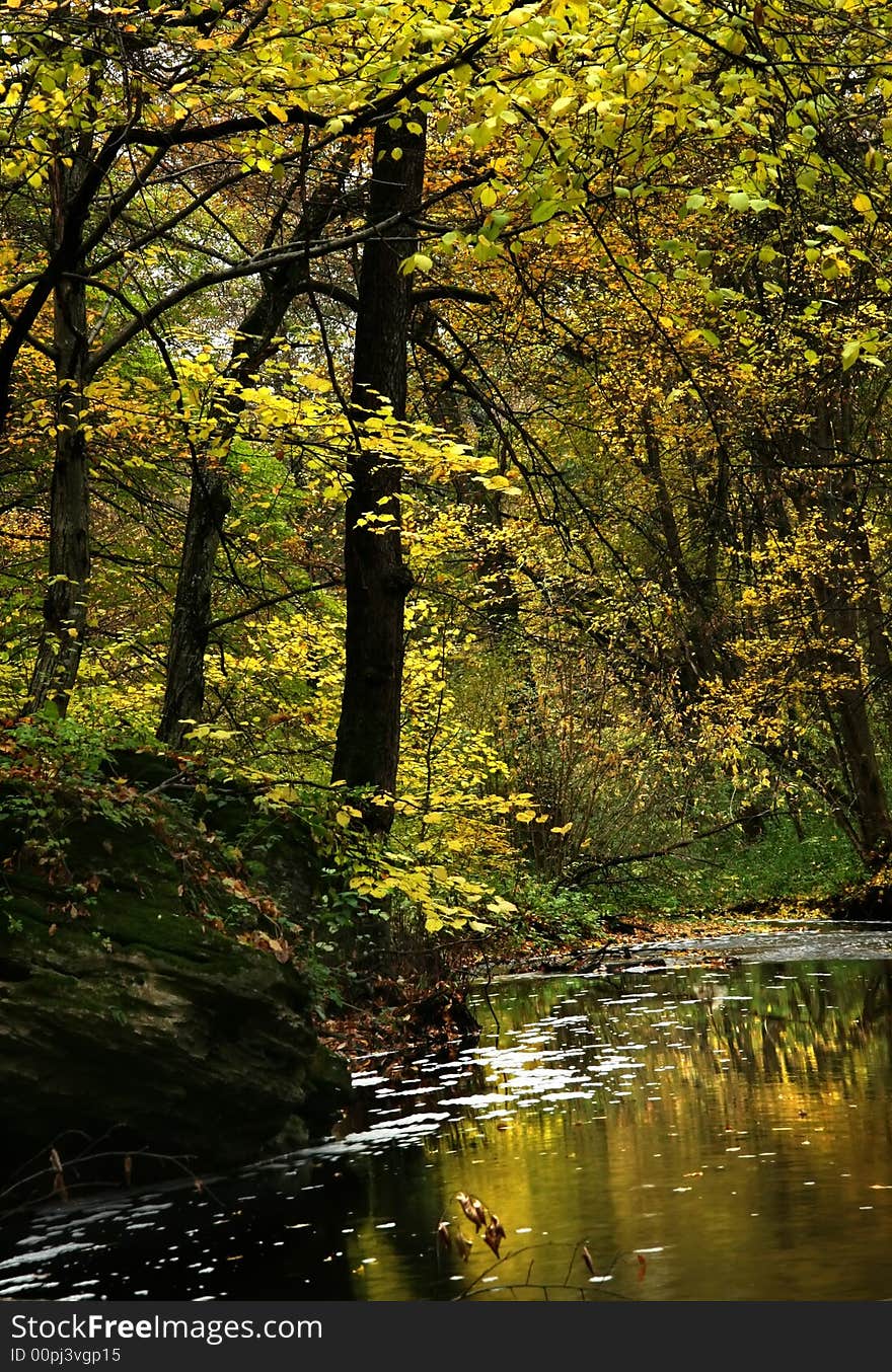 Trees with yellow leaves on coast of a stream. Trees with yellow leaves on coast of a stream