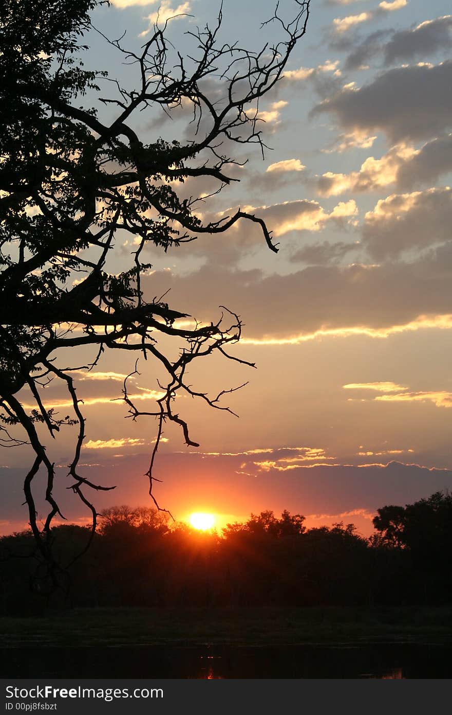 Sunset in Botswana at the Moremi National Park. Sunset in Botswana at the Moremi National Park