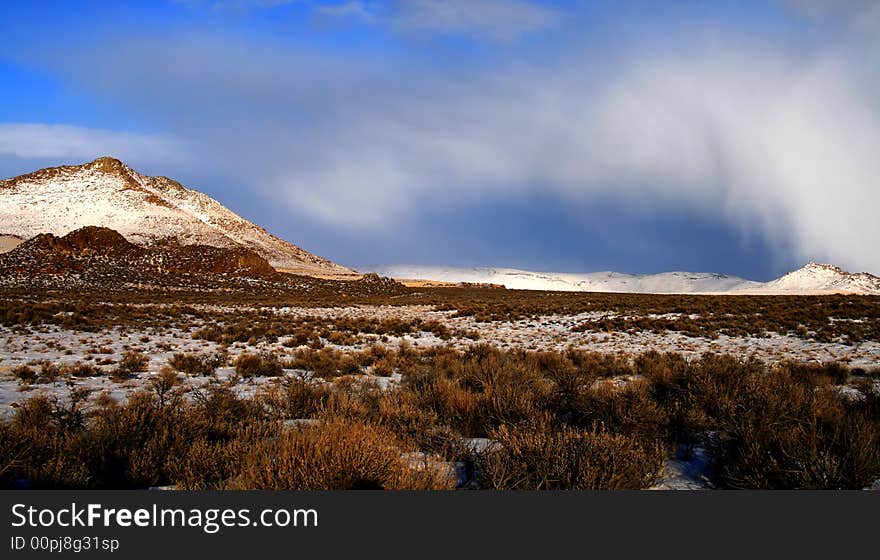 High Desert Winter 2