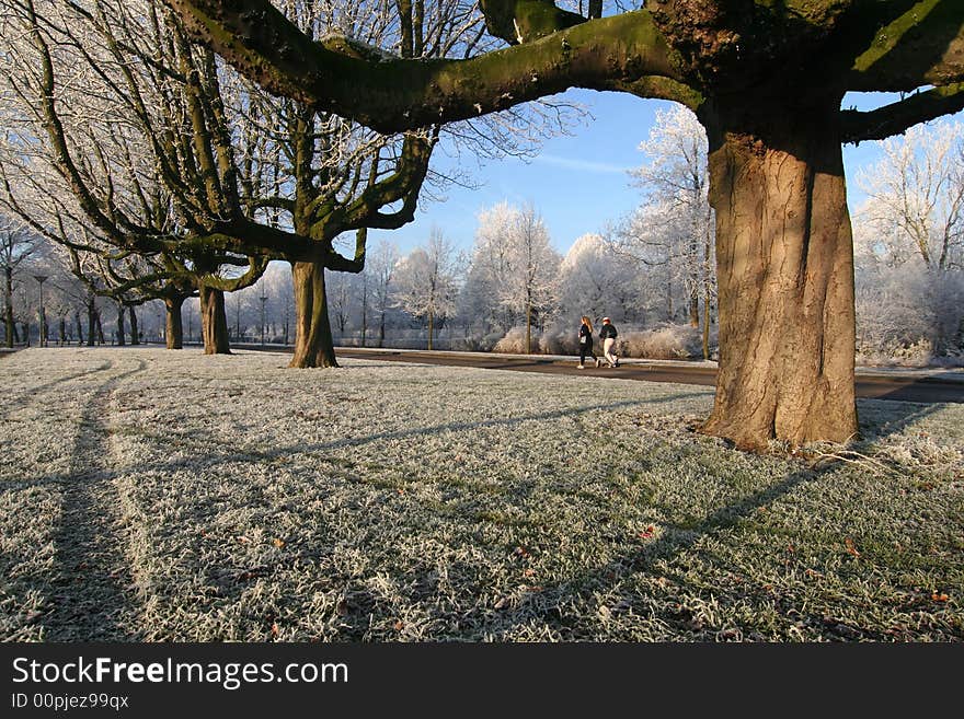 The park in winter with two female joggers. The park in winter with two female joggers