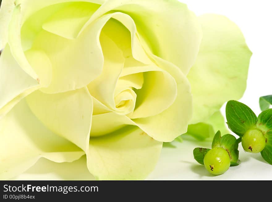 Close up on yellow rose and decorations