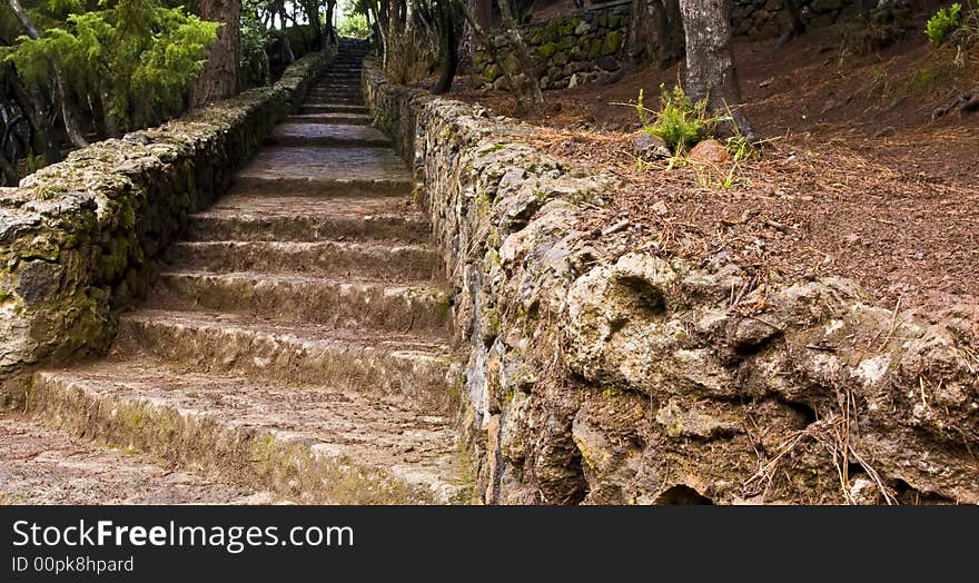 Steps over the Teide forest in Tenerife Island, Spain. Steps over the Teide forest in Tenerife Island, Spain.