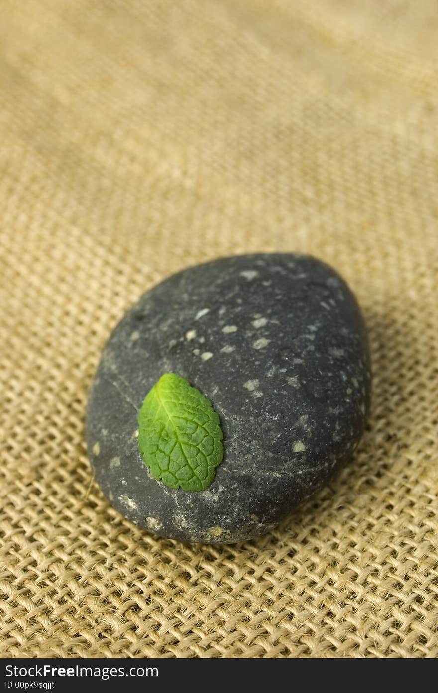 Green leaf on a black stone on a burlap texture. Zen symbol of life and meditation. Green leaf on a black stone on a burlap texture. Zen symbol of life and meditation.