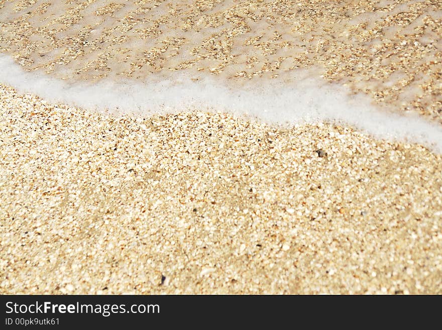 Seashore with shells and wave