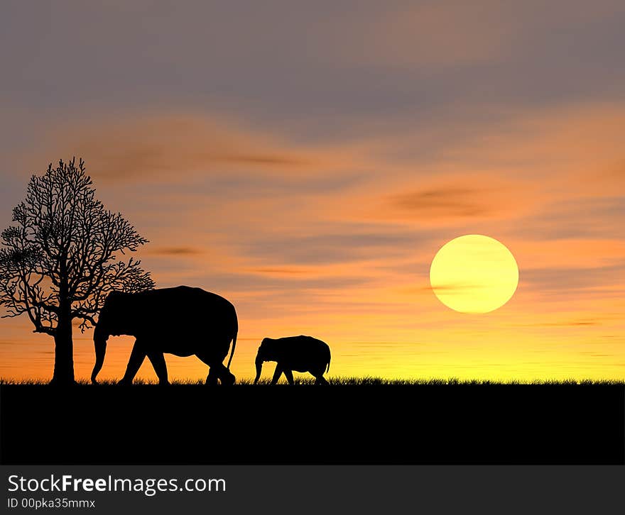 Elephant Family