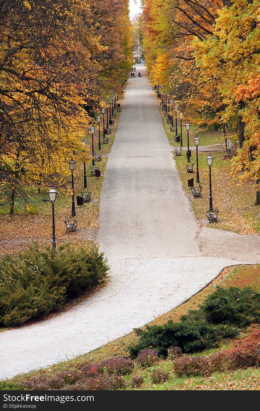 Path in park