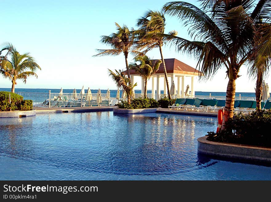 Swimming Pool  Chairs And Green  Palms And Gazebo