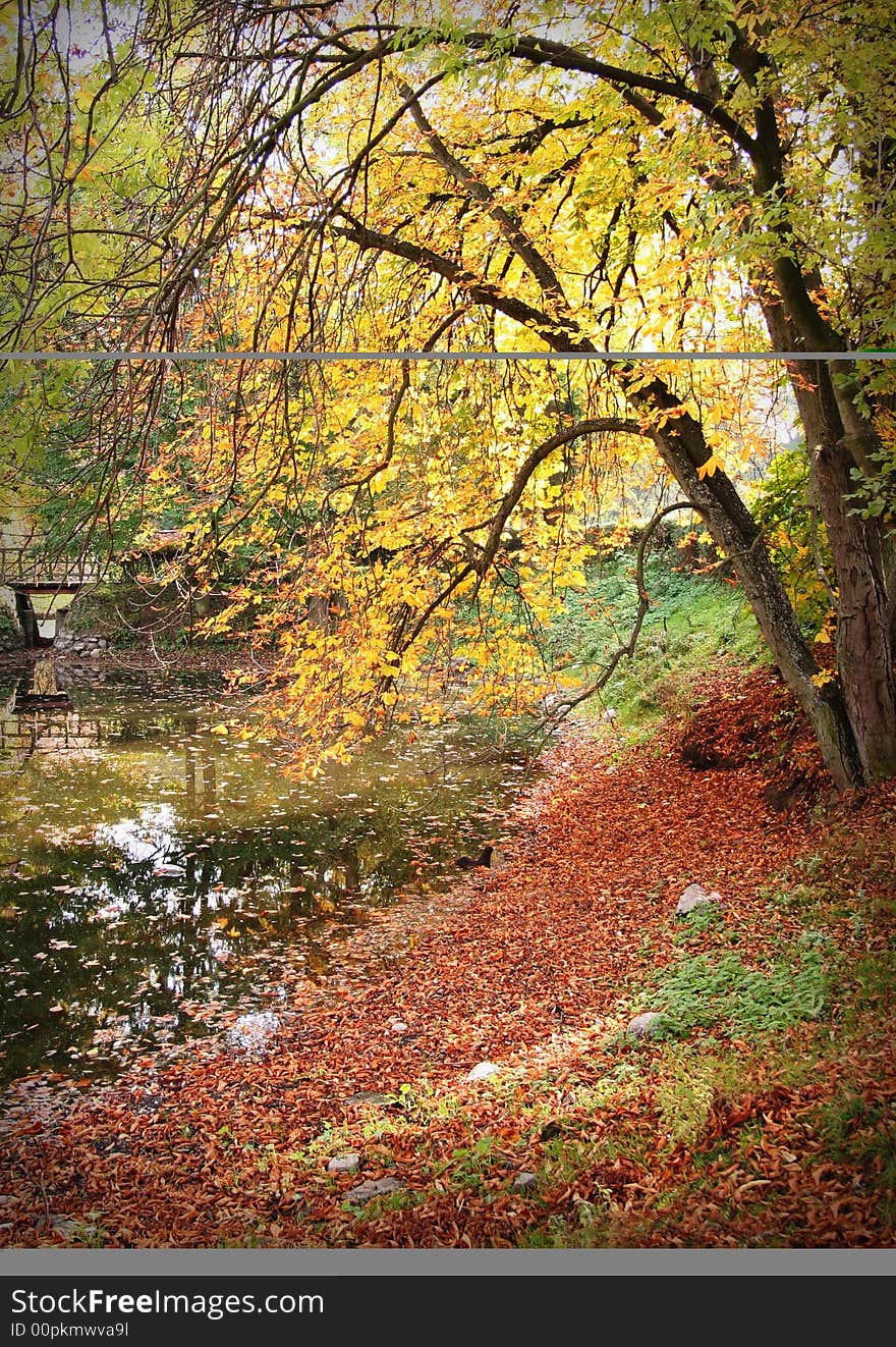 Autumn with yellow and brown colours