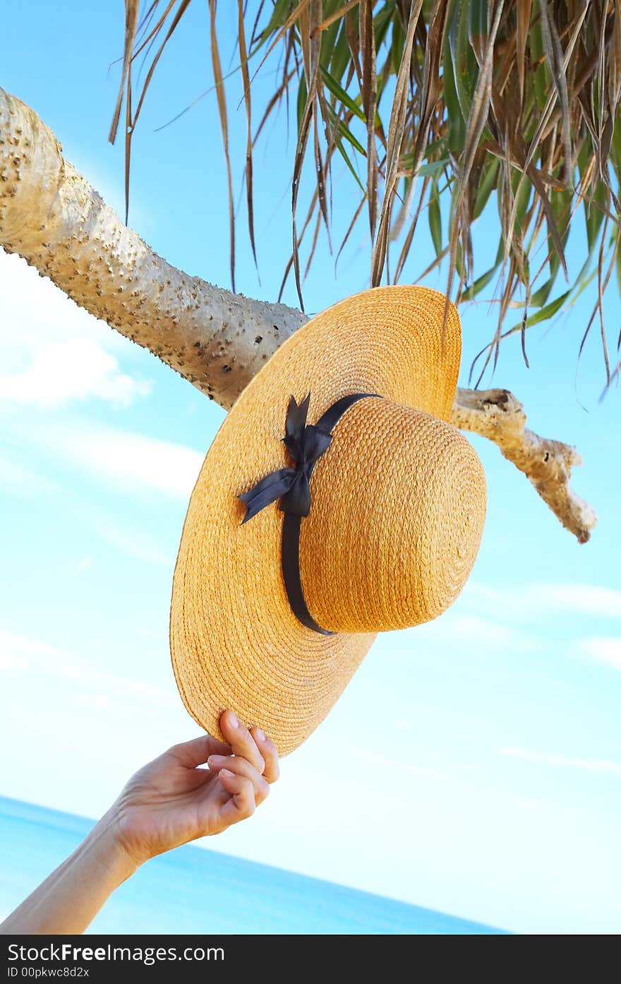 View of nice tropic scene with sailor-hat and hand. View of nice tropic scene with sailor-hat and hand