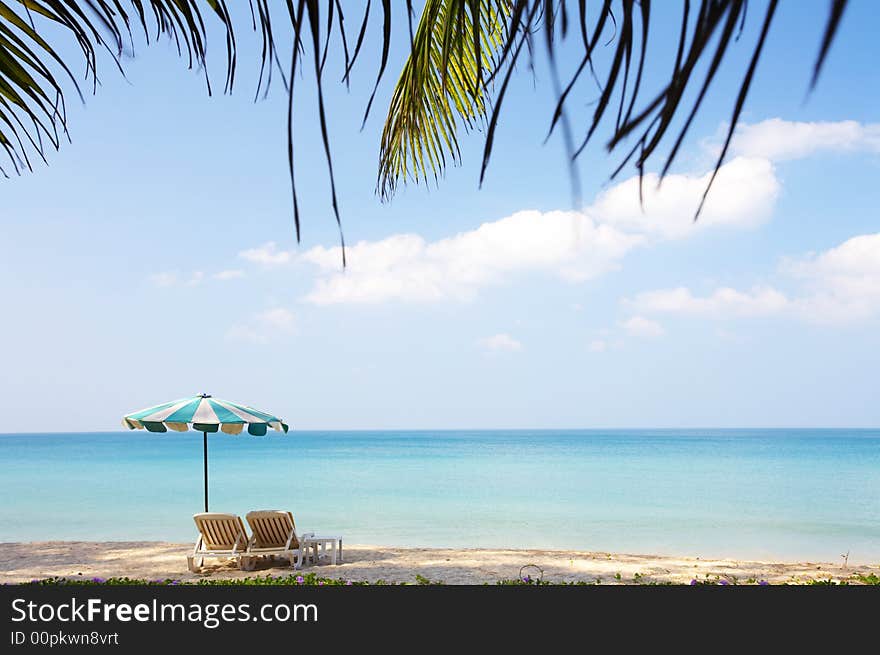 View of nice empty sandy beach with some palms around. View of nice empty sandy beach with some palms around