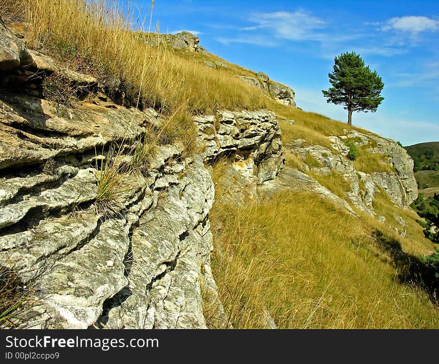 Lonely tree on southern slope Bermamyt a plateau, Russia, Northern Caucasus