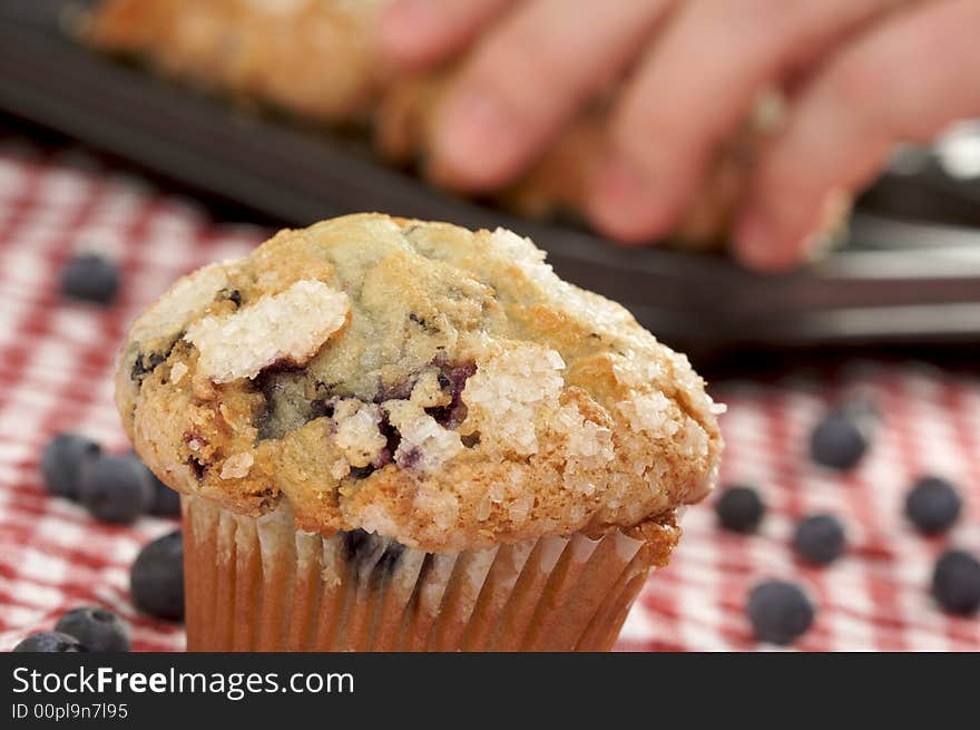 Fresh Blueberry Muffins out of the oven - red & white checkered gingham