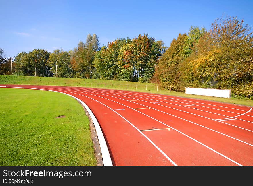 Runners racetrack surrounded by trees