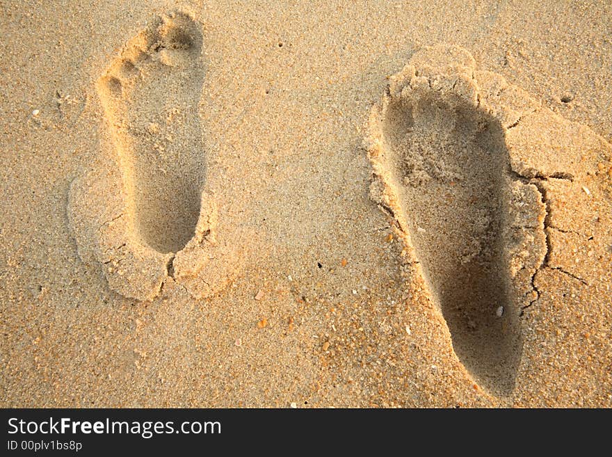 Barefoot prints on the beach