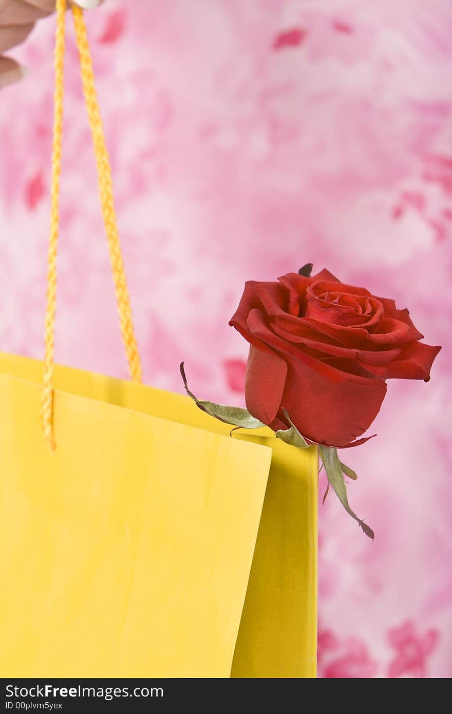 Close-up image of a rose sticking out of a yellow shopping bag. The background is made of the pink dress of the woman.Shot with Canon 70-200mm f/2.8L IS USM

<b>Browse my</b> <a href=http://www.dreamstime.com/shopping-colldet6921><b>Shopping</b></a> <b>collection.</b>. Close-up image of a rose sticking out of a yellow shopping bag. The background is made of the pink dress of the woman.Shot with Canon 70-200mm f/2.8L IS USM

<b>Browse my</b> <a href=http://www.dreamstime.com/shopping-colldet6921><b>Shopping</b></a> <b>collection.</b>