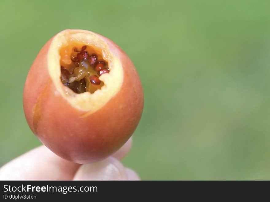 A bite taken out of juicy tamarillo. focus is on the seeds inside