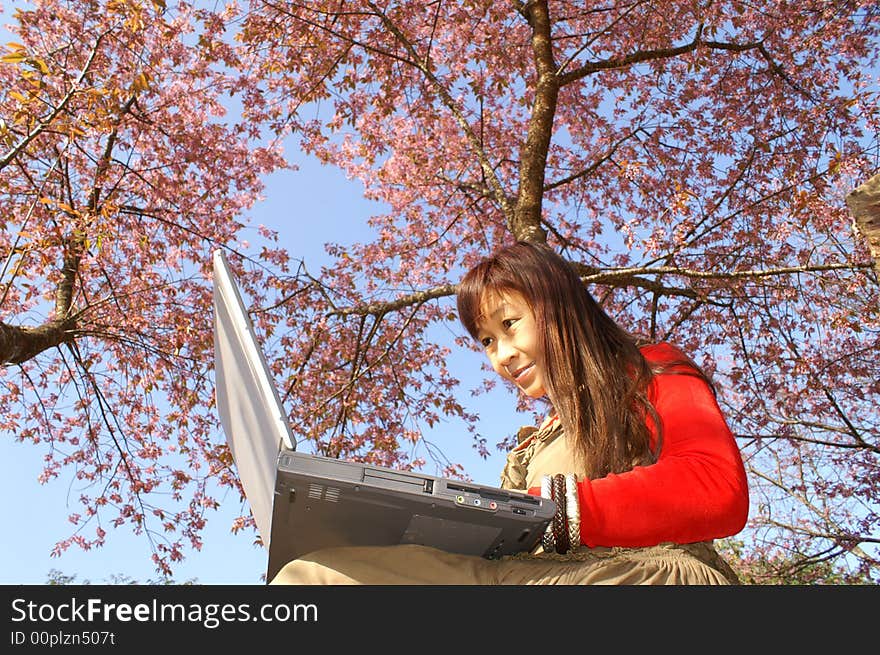 Beautiful pink flowers and a freshly lady at outdoor work. Beautiful pink flowers and a freshly lady at outdoor work