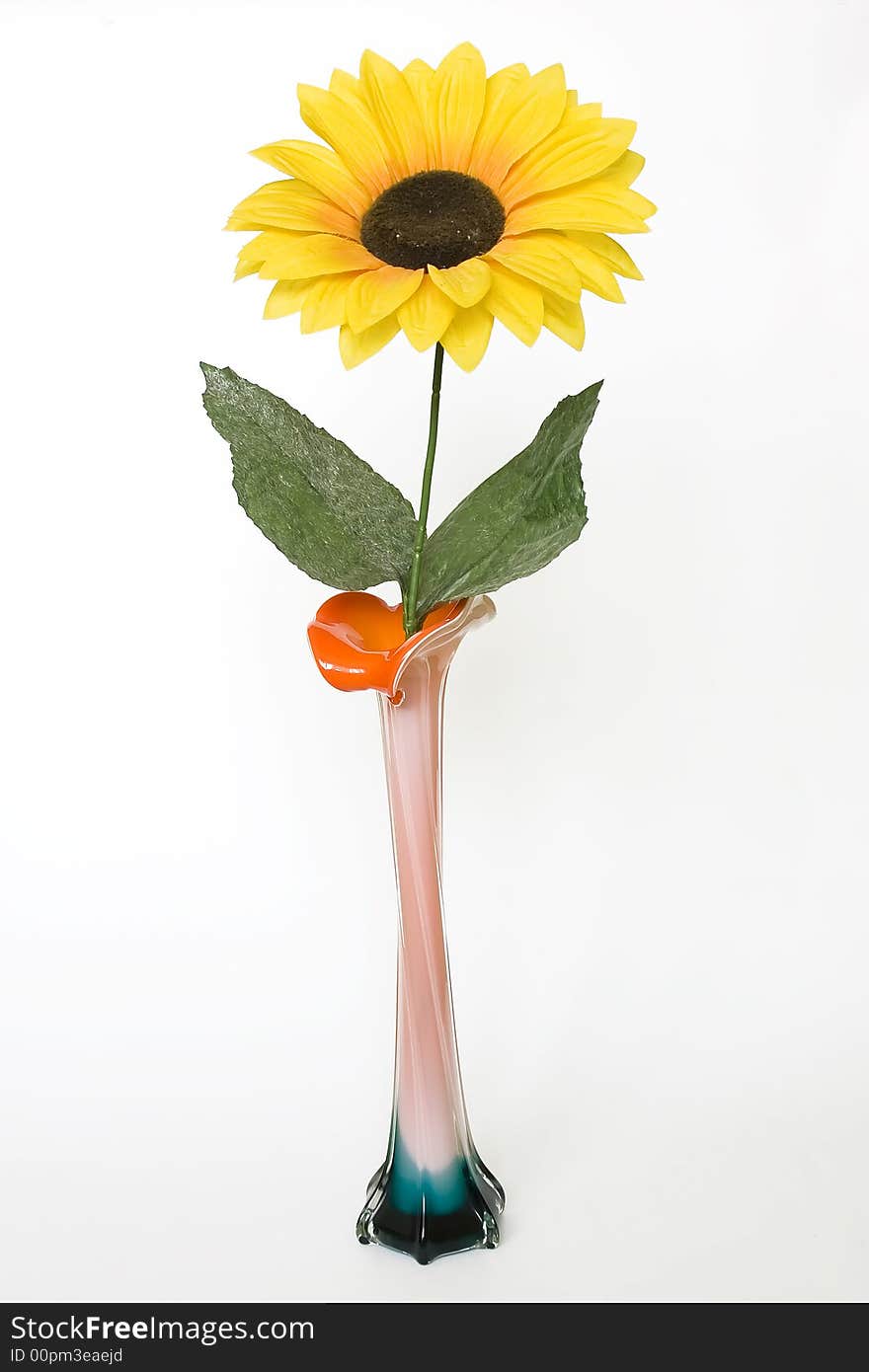 Sunflowers in a vase isolated. Sunflowers in a vase isolated