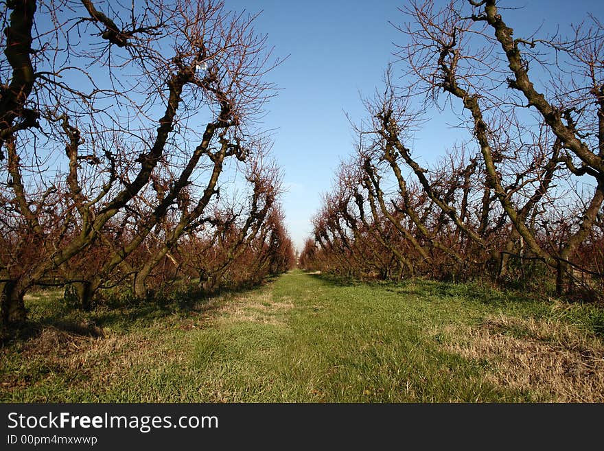 Campagna invernale Campaign Winter blu blue verde Green