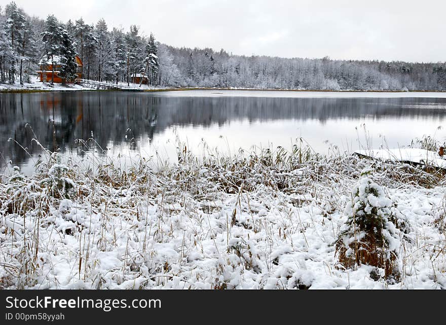 Forest lake in the winter morning