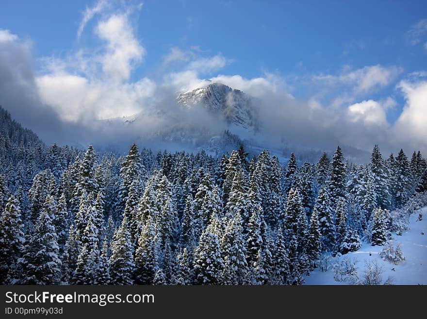 Boxelder Snow