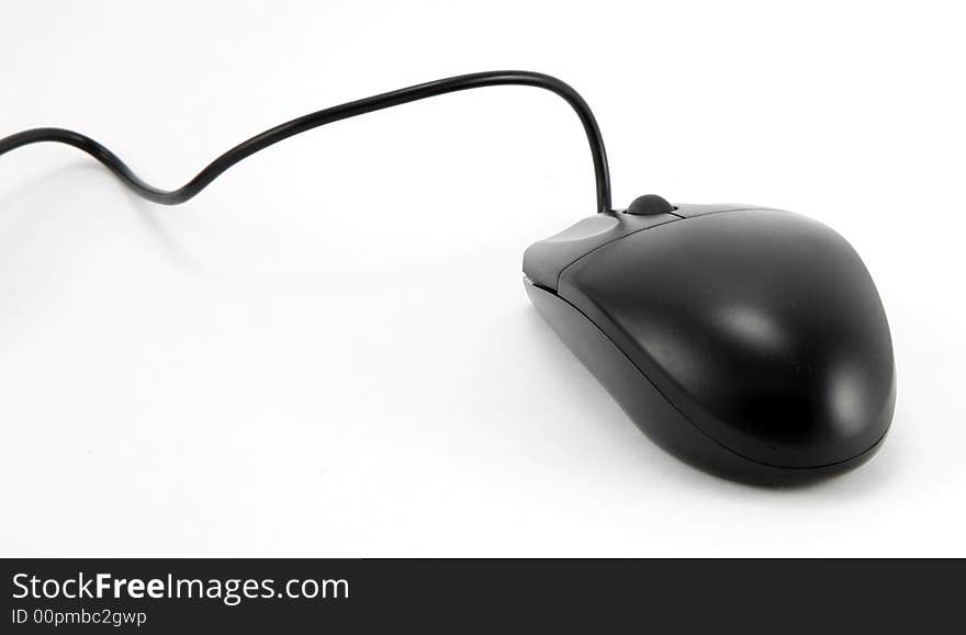 Black Mouse