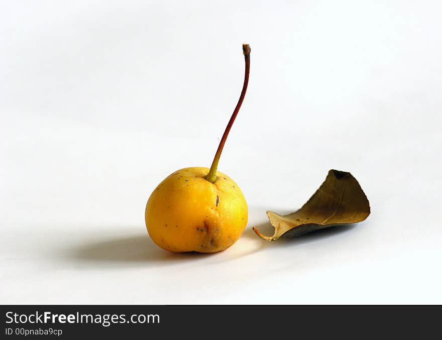 Single  fruit and dry leaf，still life. Single  fruit and dry leaf，still life