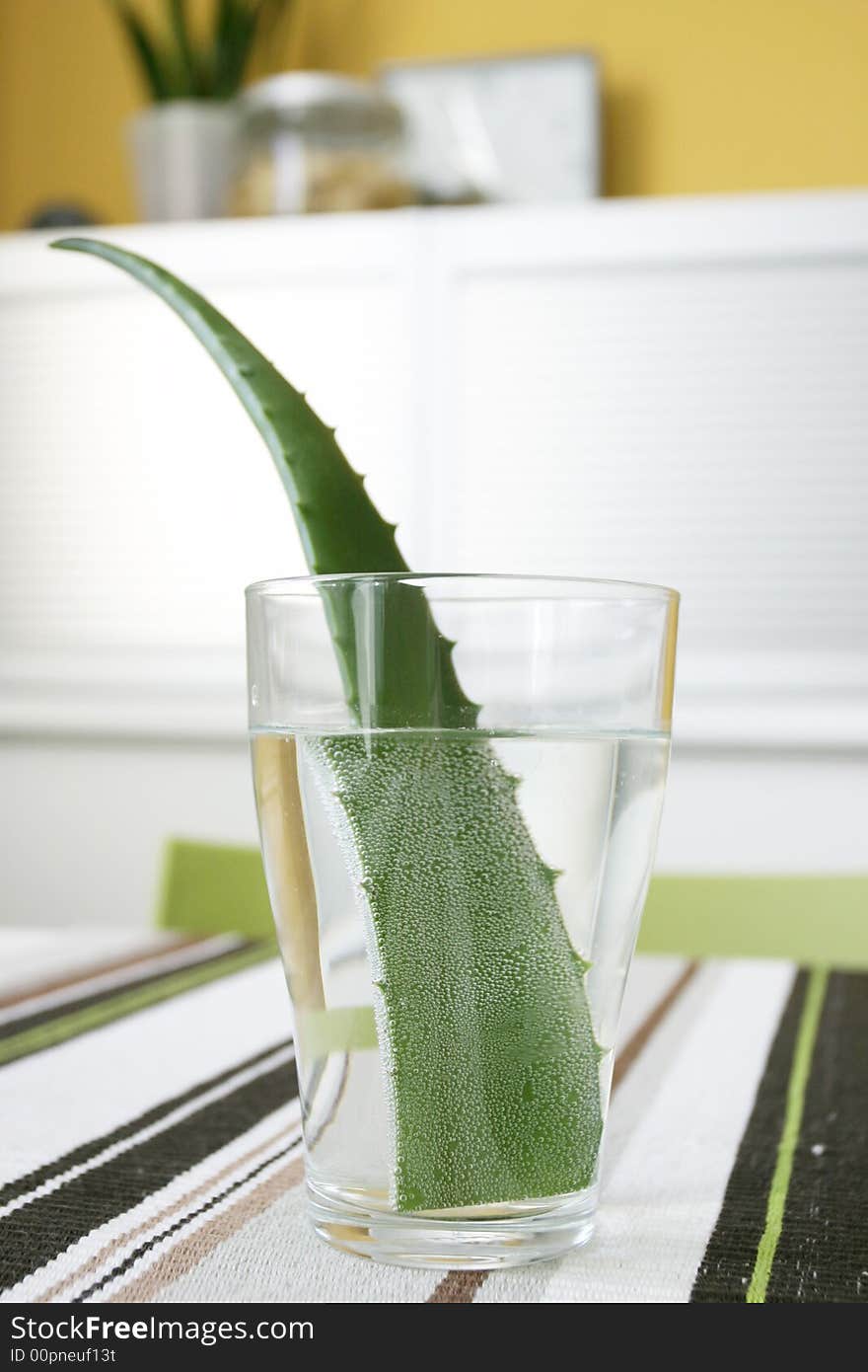 Green aloe and glass with water.