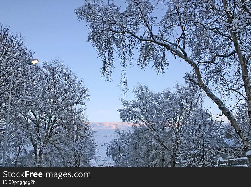 Winter in iceland