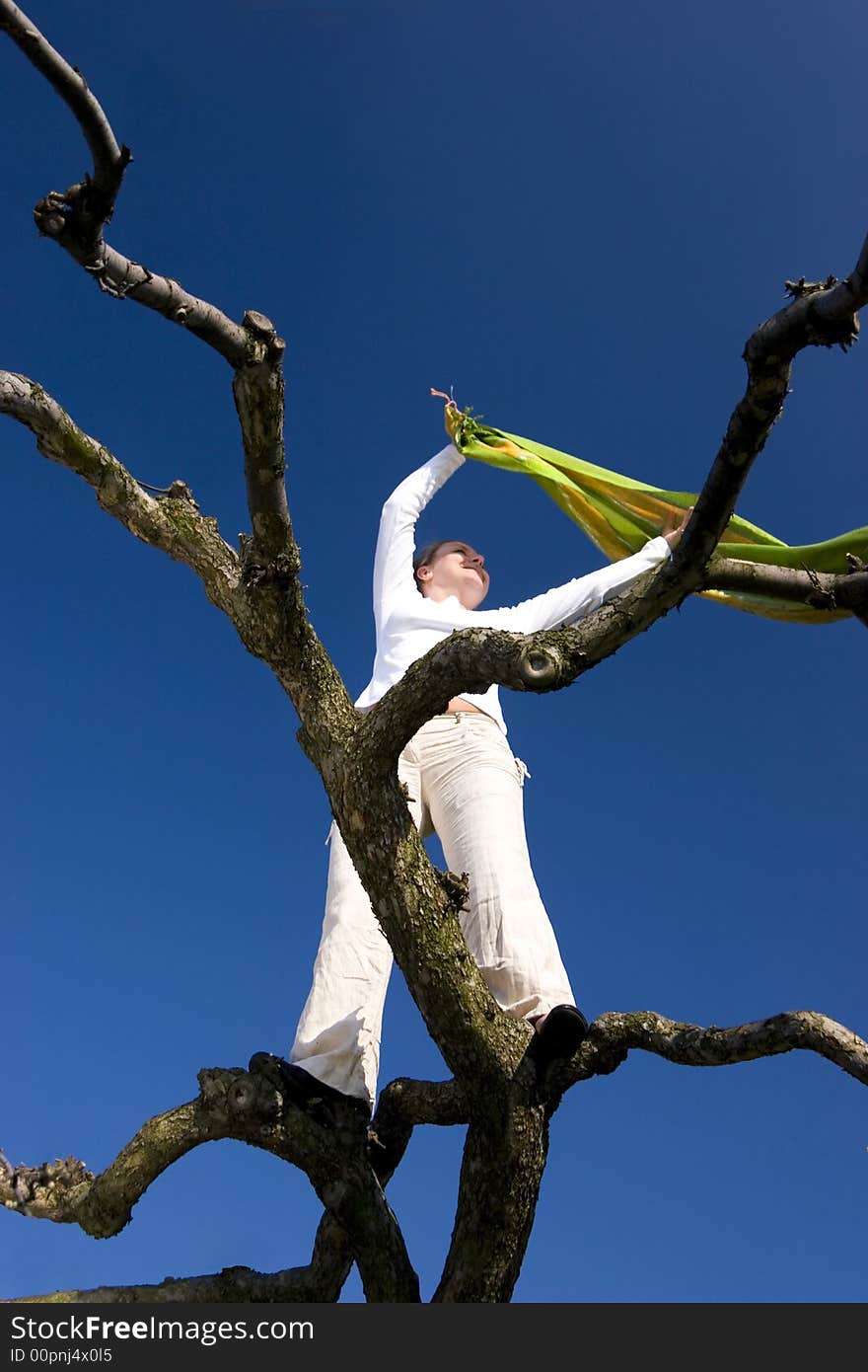 Woman with scarf on tree at blue sky. Woman with scarf on tree at blue sky