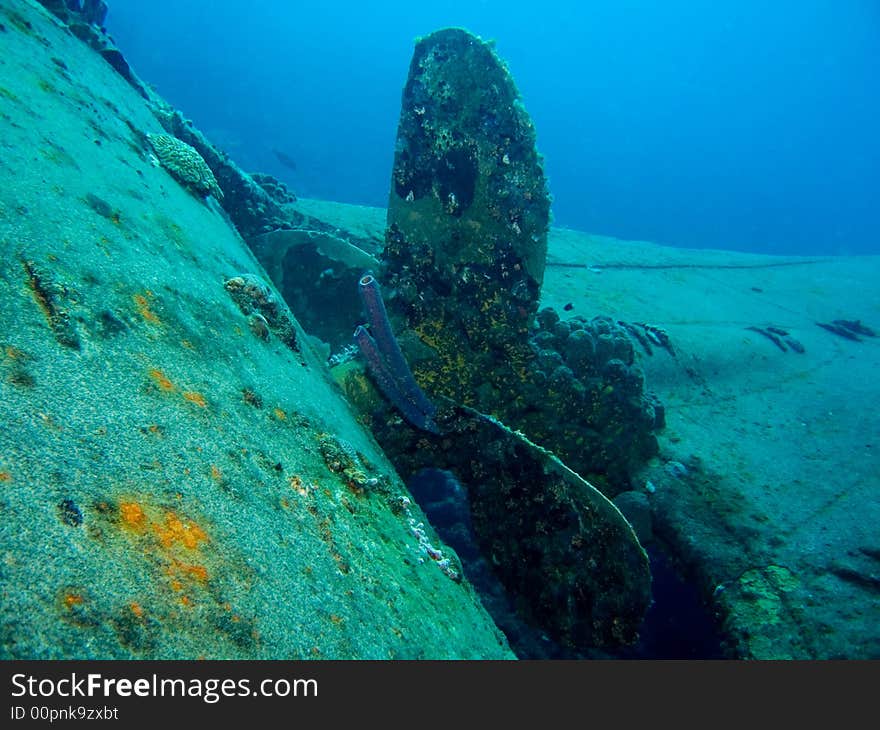 Propeller of the Hilma Hooker