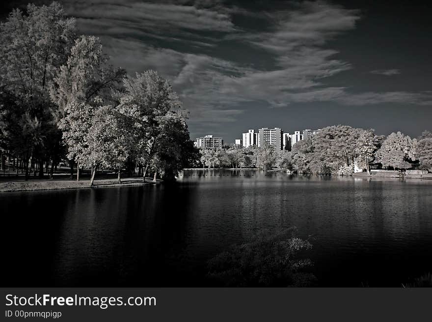 Infrared photo – tree, lake and building